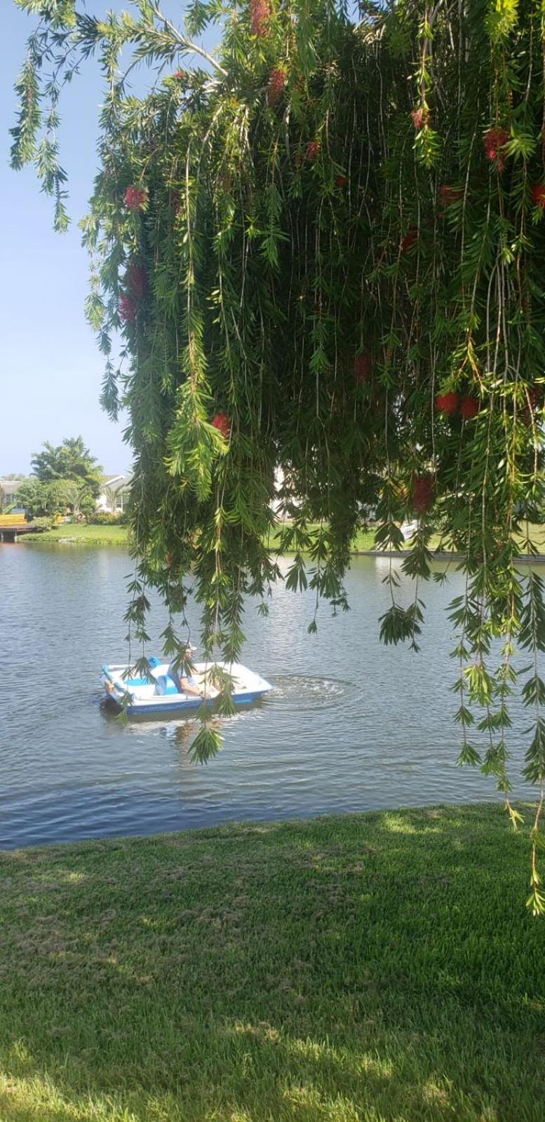 Near Clearwater And Tarpon Spring With Water View Holiday Exterior foto