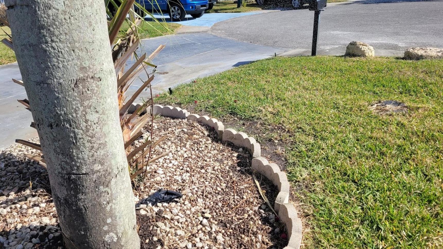 Near Clearwater And Tarpon Spring With Water View Holiday Exterior foto